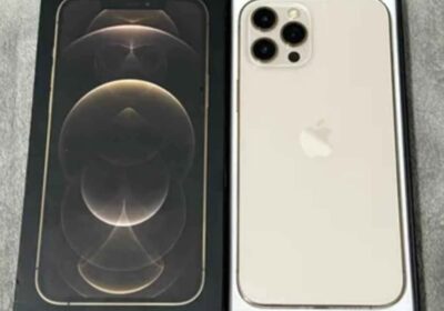 APPLE IPHONE 12 PRO MAX