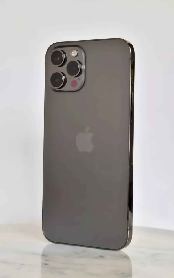 APPLE IPHONE 12 PRO MAX