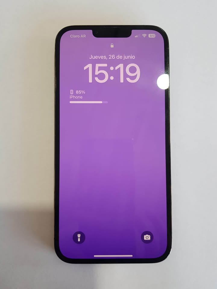 iPhone 13 Pro Max 256gb