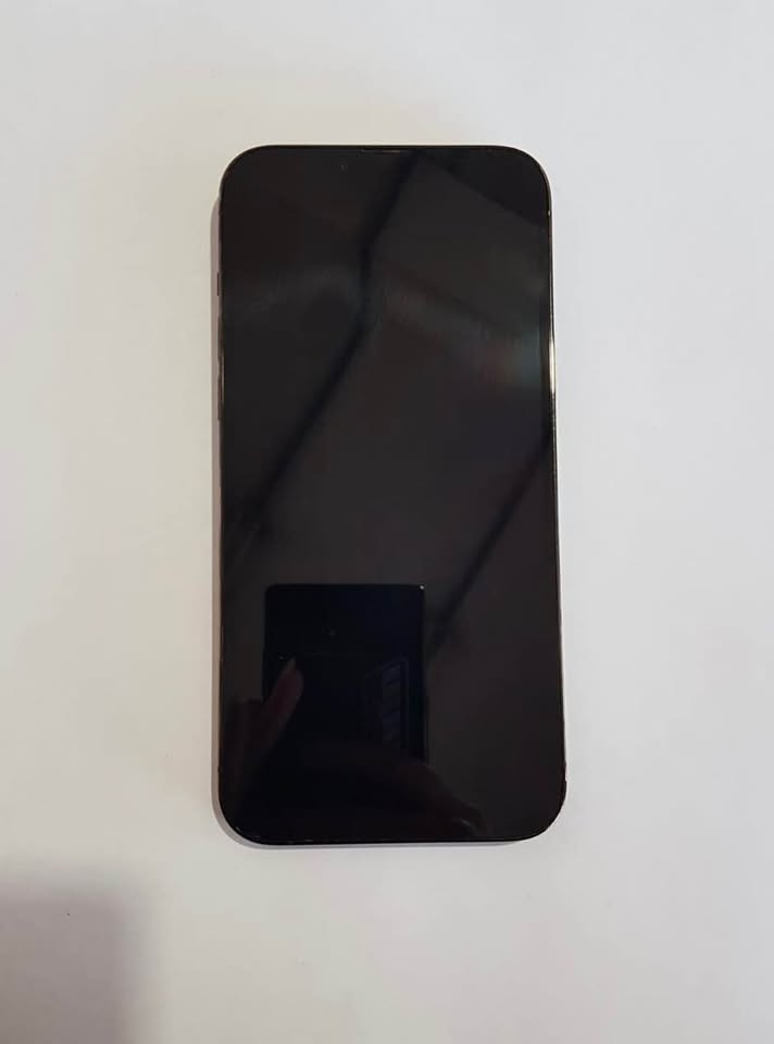 iPhone 13 Pro Max 256gb