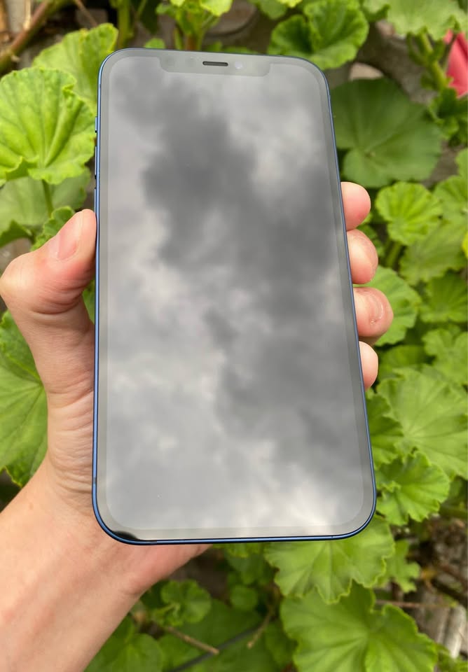 VENDO IPHONE 12 al 100%