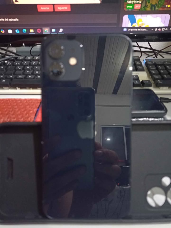 iPhone 12 (250.000$)