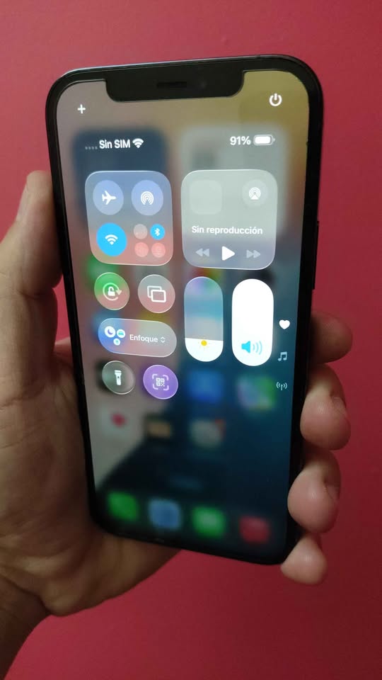 Iphone 12 Pro 256GB 86% Permutas