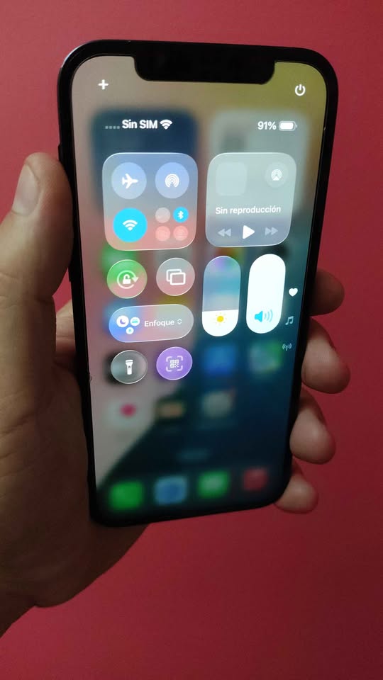 Iphone 12 Pro 256GB 86% Permutas