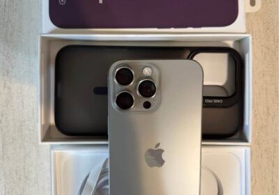 iPhone 16 Pro Max | 256 GB | 100%