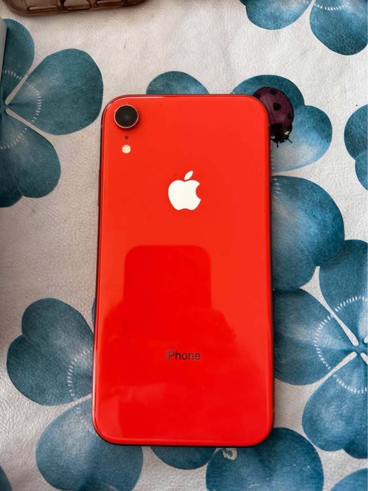 iPhone XR con fundas y accesorios