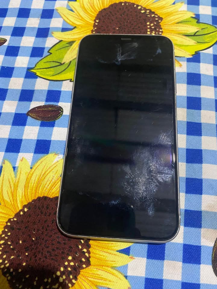 iPhone 11 Liberado