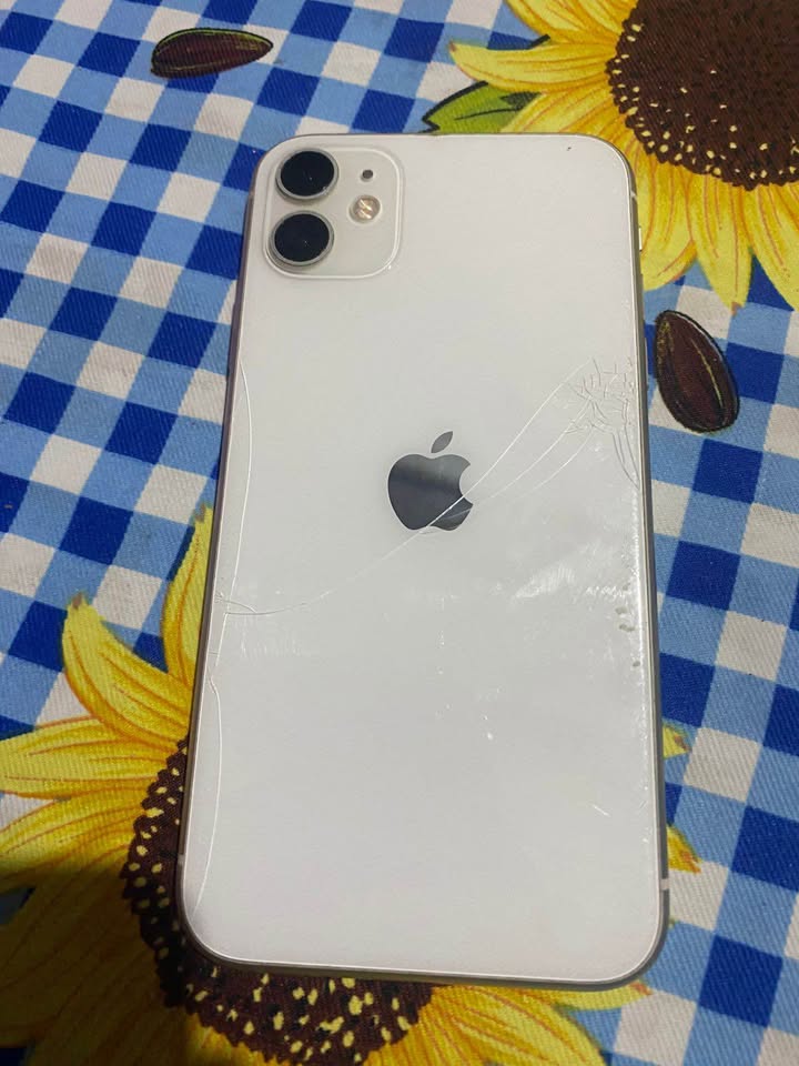 iPhone 11 Liberado
