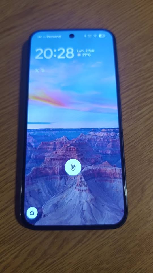 Google Pixel 9 Pro XL 256 gb