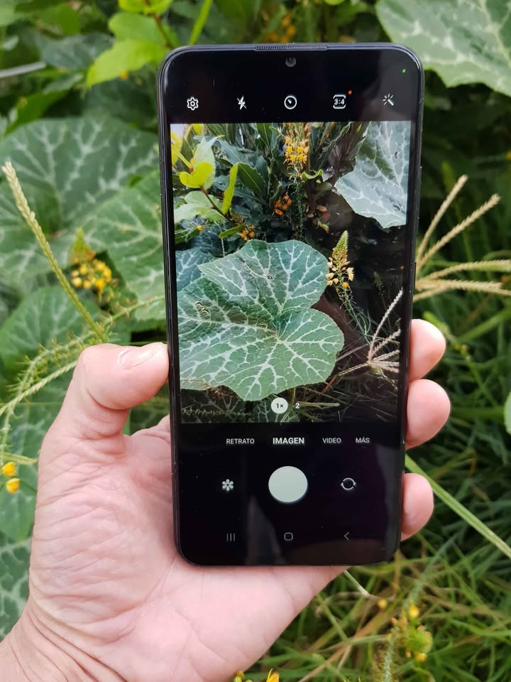 VENDO SAMSUNG A03📱DE 128GB ES LIBRE DE FABRICA !! SIN DETALLES !!