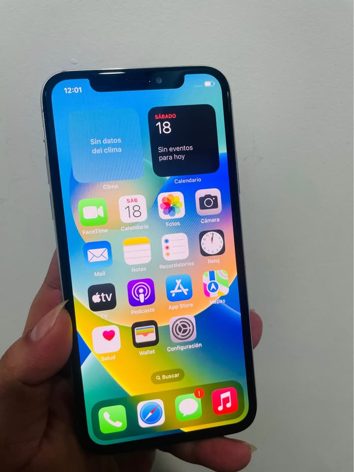 iPhone X 64 GB 🔋100% Libre ✅