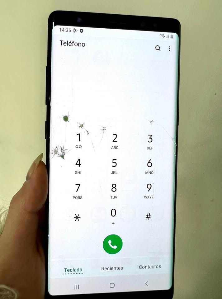Samsung note 8 (detalles en la pantalla)