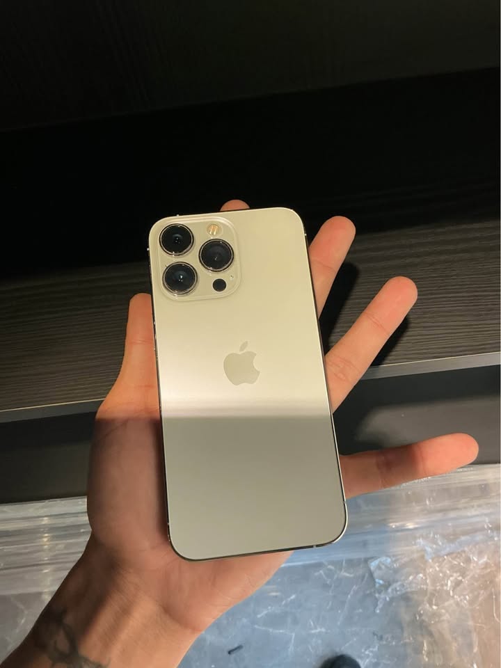 IPHONE 13 PRO 128GB (77%) NINGUN DETALLE