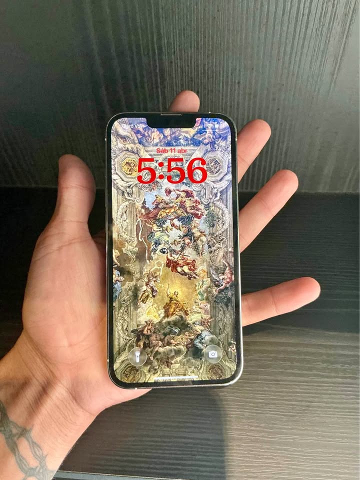 IPHONE 13 PRO 128GB (77%) NINGUN DETALLE