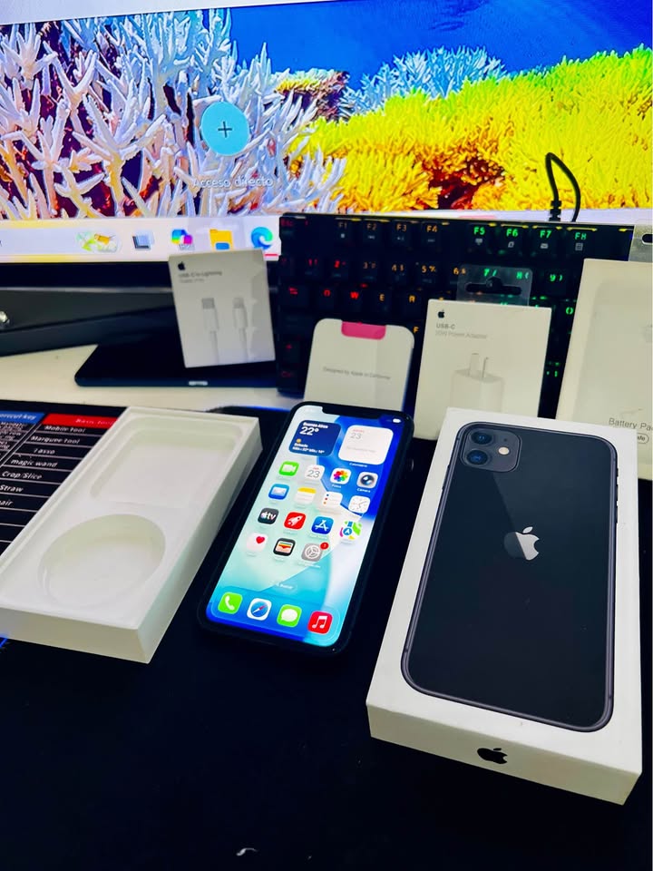 Iphone 11 EN CAJA! LIBERADO
