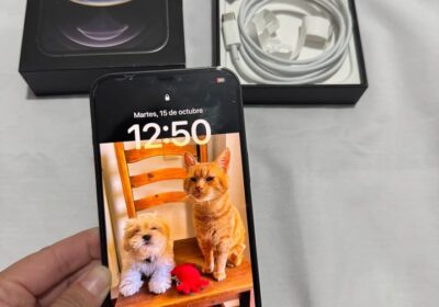 iPhone 12 Pro Max