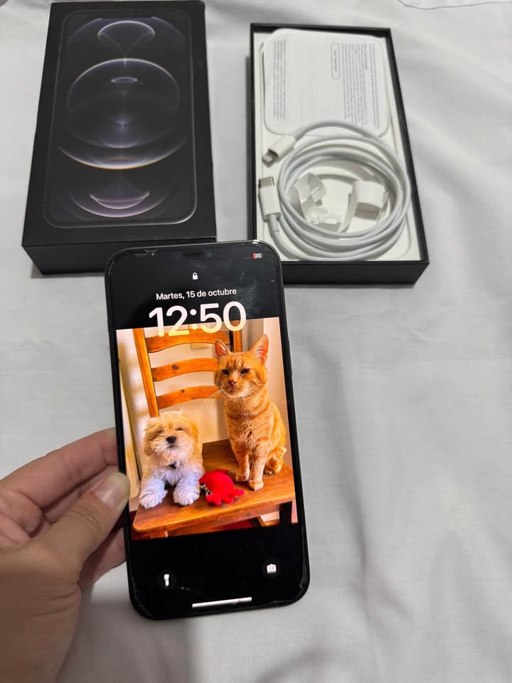 iPhone 12 Pro Max