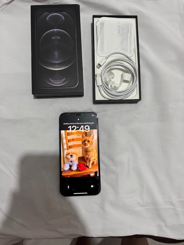 iPhone 12 Pro Max