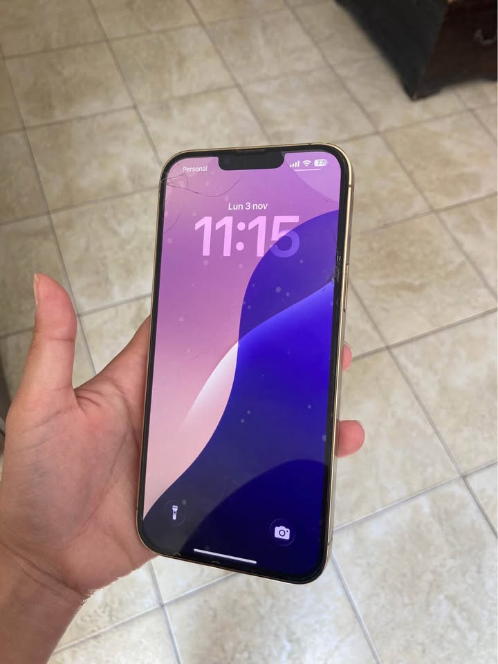 iPhone 13 Pro Max