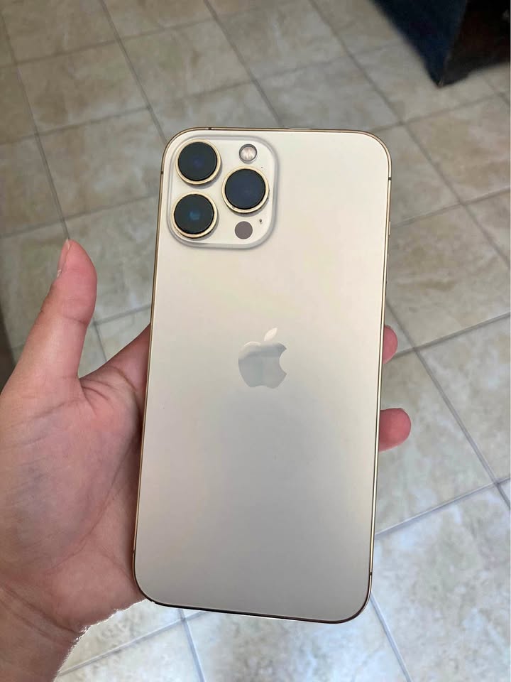 iPhone 13 Pro Max