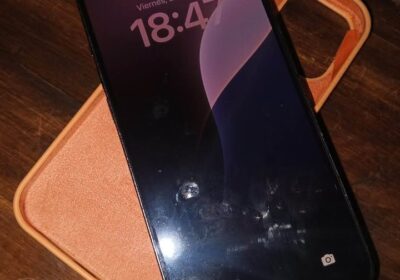 12 pro Max