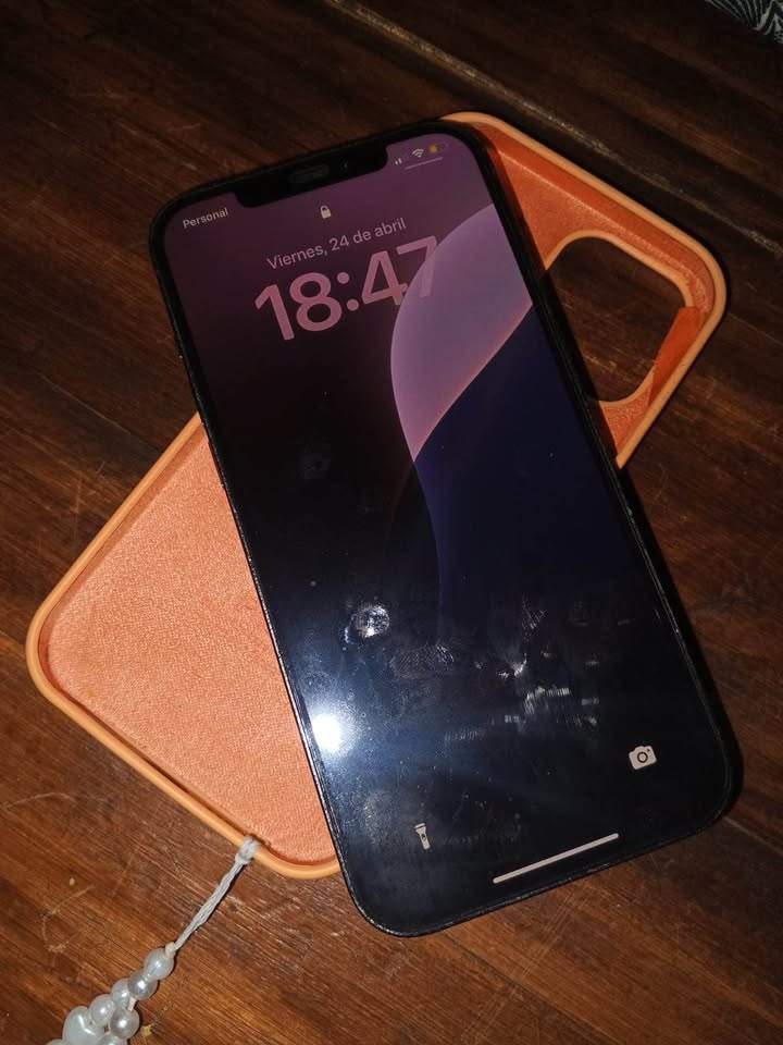 12 pro Max