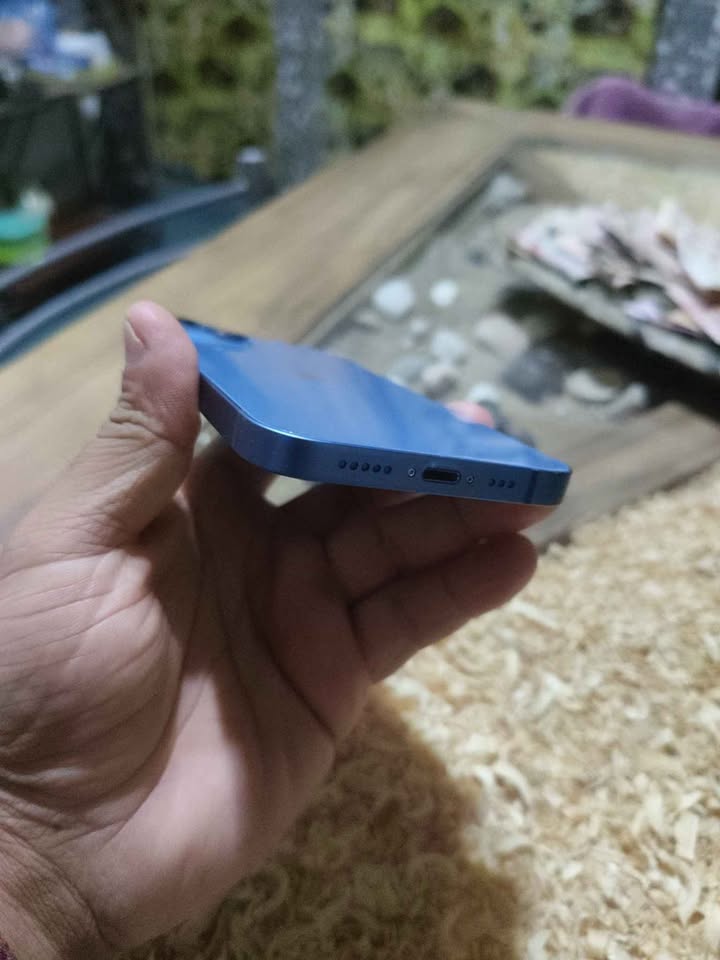 iPhone 13