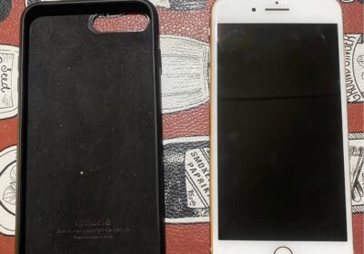 iPhone 8 Plus 64GB Liberado 99% Batería Impecable