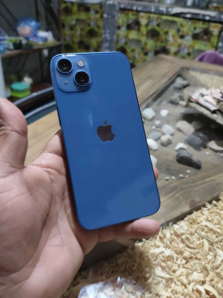 iPhone 13
