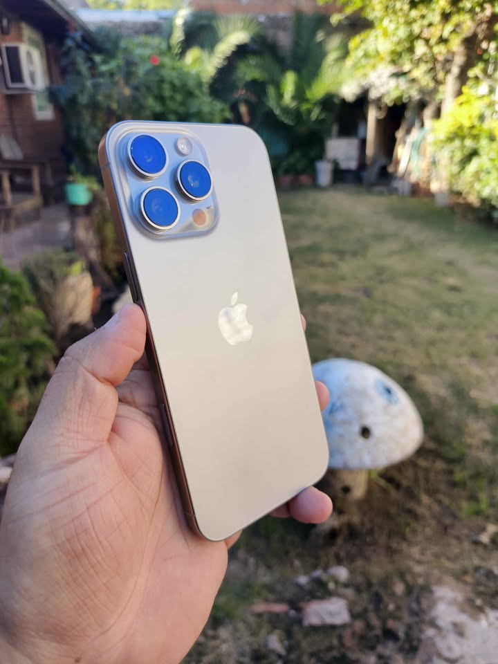 iPhone 16 Pro Max