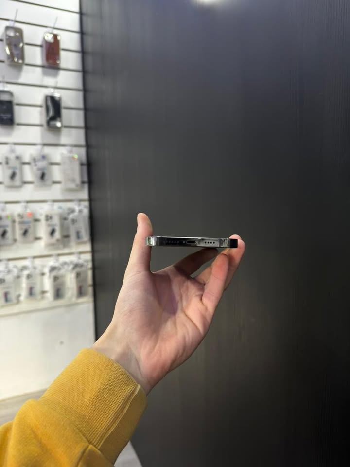 Iphone 13 PRO MAX 256GB 100%