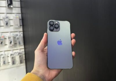Iphone 13 PRO MAX 256GB 100%