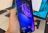 iPhone 13 Pro Max libre