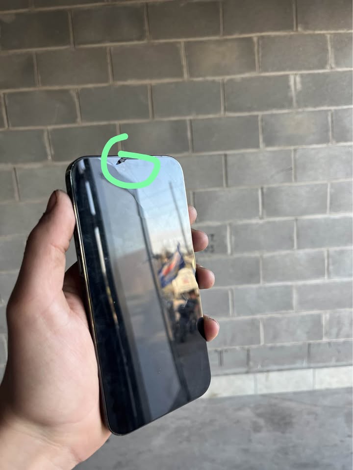 iPhone 13 Pro Max 100%🔋 128gb💾