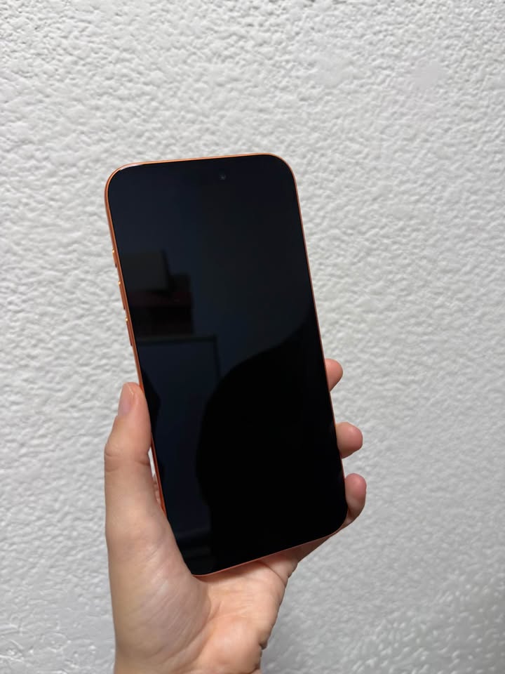 iPhone 17 pro max – 256gb – 100%