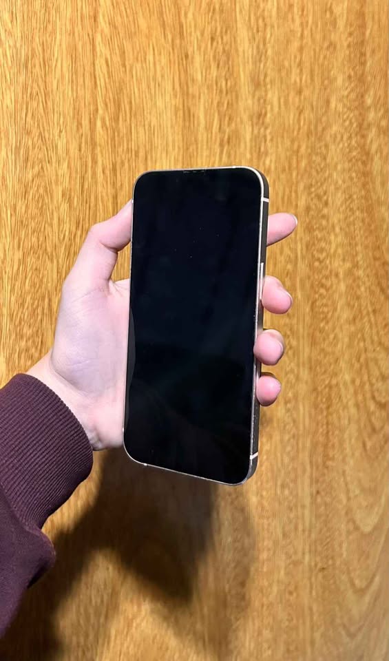 LIQUIDO iPhone 13