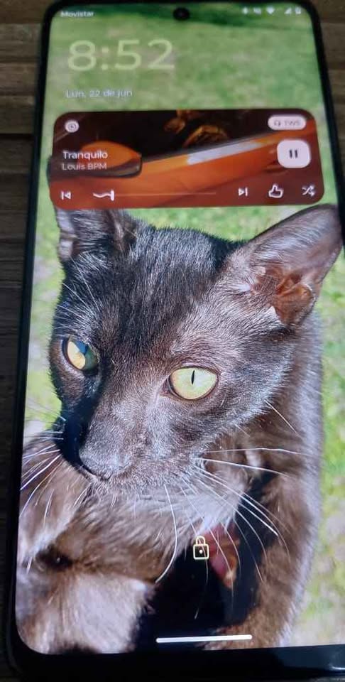 Motorola G15