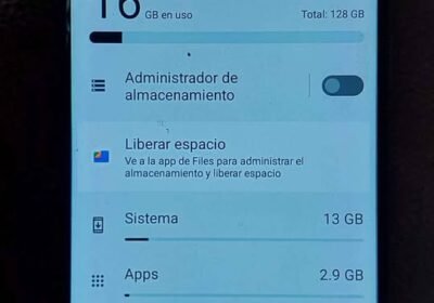 Motorola Moto G22 con Templado y Cargador liquido