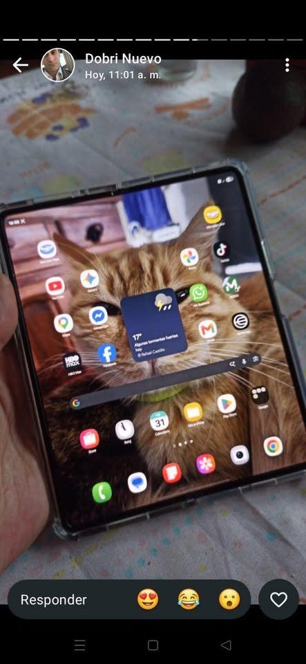 Samsung+z+fod+3