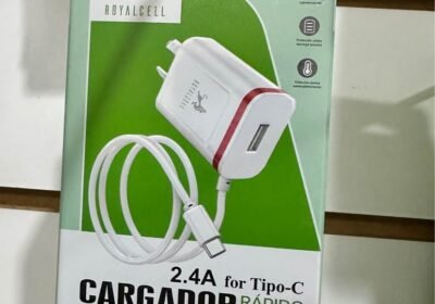 Cargador tipo C