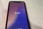 iPhone XR 🍎