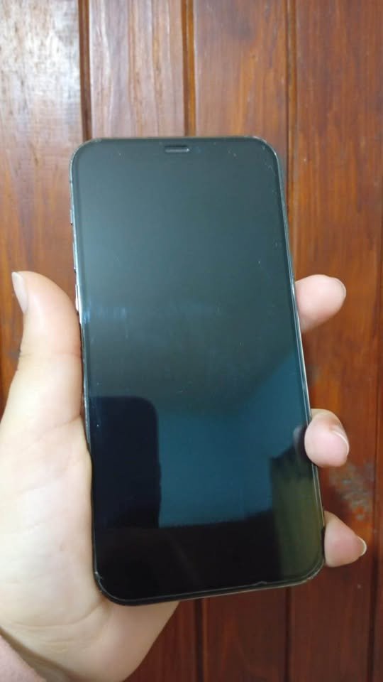 iphone 12 pro
