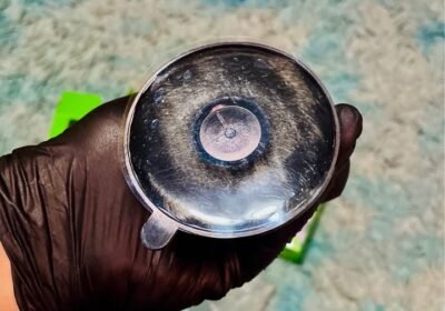 LIQUIDO portacelulares para auto