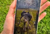 Liquido Iphone 13