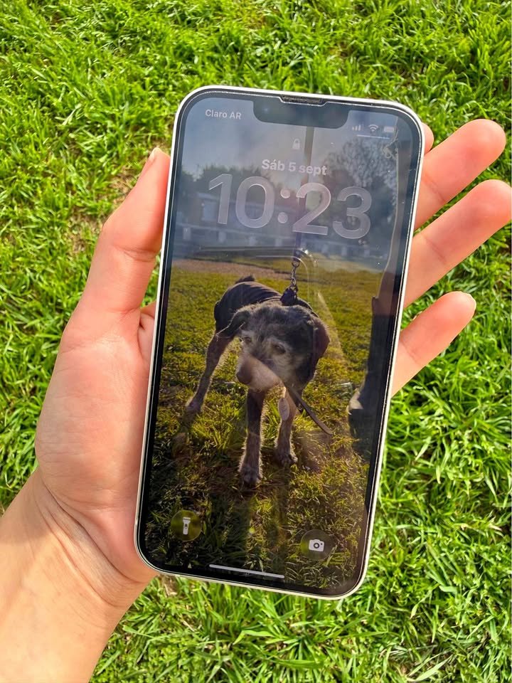 Liquido Iphone 13