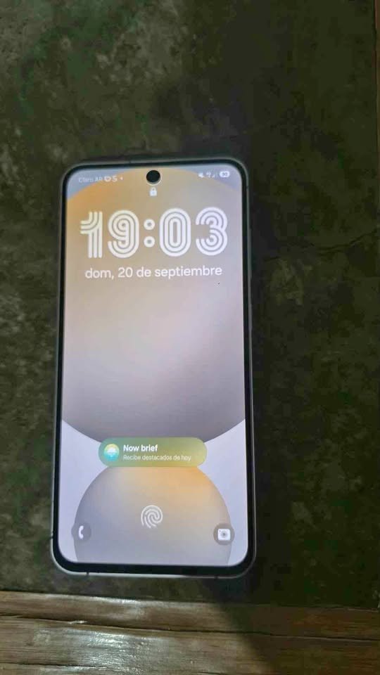 S24FE 256 GB