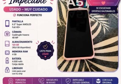 Celular samsung
