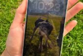 Iphone 13 sin detalles en caja