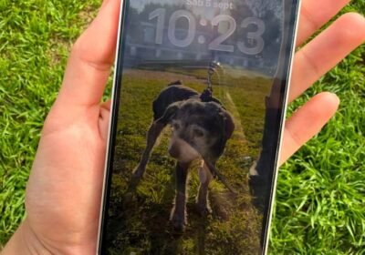 Iphone 13 sin detalles en caja