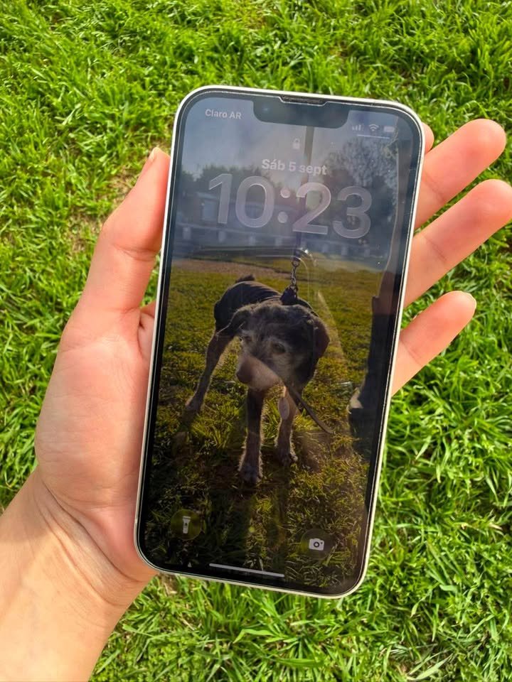 Iphone 13 sin detalles en caja
